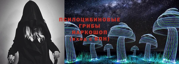 ПСИЛОЦИБИНОВЫЕ ГРИБЫ Алзамай